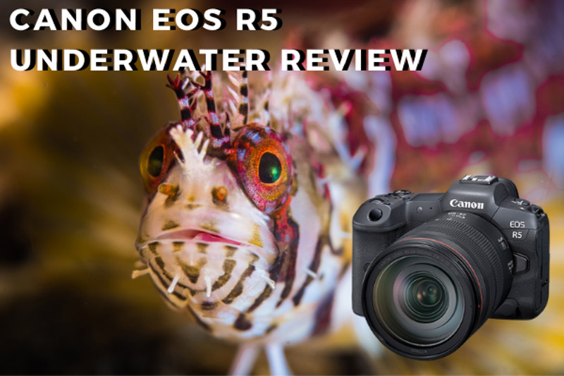 Bluewater Canon R100 Underwater Ultimate Package