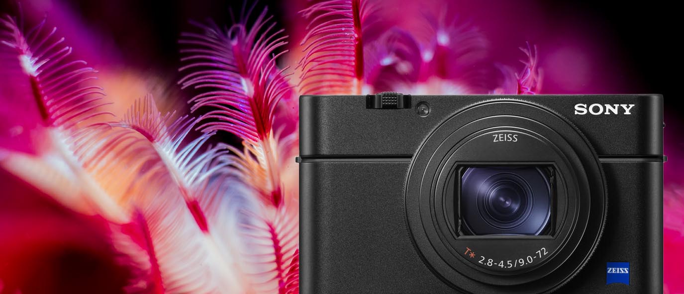 sony firmware update rx100