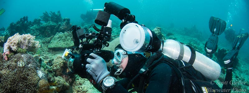 Master guide for underwater digital photography