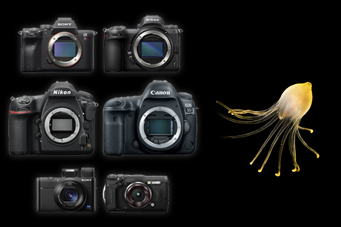 top ten underwater cameras