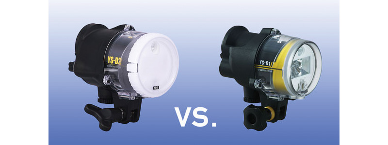 SEA&SEA YS-D2 vs YS-D1 Strobe Comparison - Underwater Photography