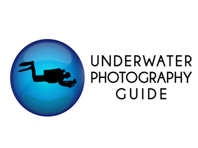 Flood Insurance And Packing Lists Underwater Photography Guide