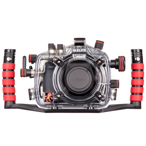 Sony ZV-E1 // Ikelite Underwater Housing Assembly & Camera Settings [V