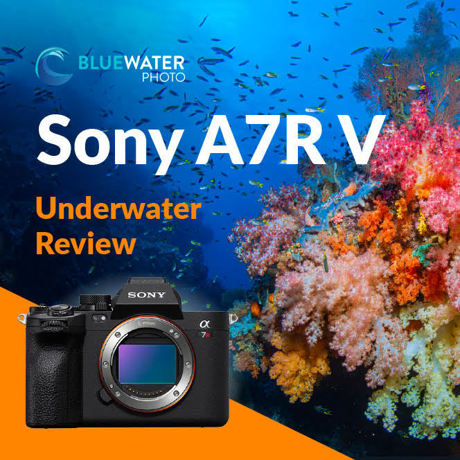 sony a7r review 2020