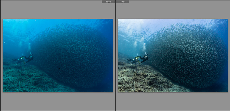 filters for underwater photography