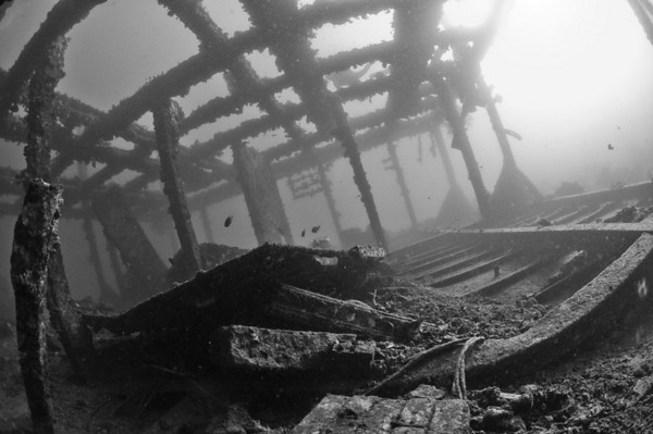 balck and white underwater photo