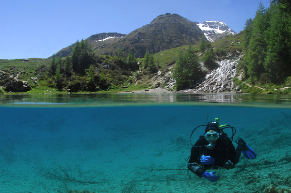 over-under underwater photography