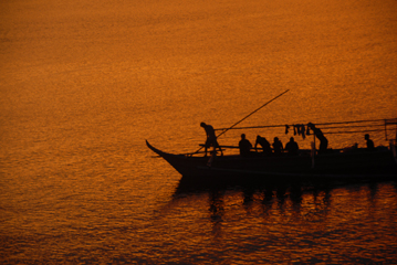 anilao night dive for underwater photography