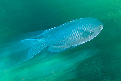 nikon 18-55mm example photo