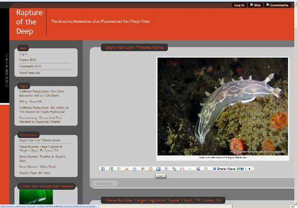 rapture of the deep scuba diving blog