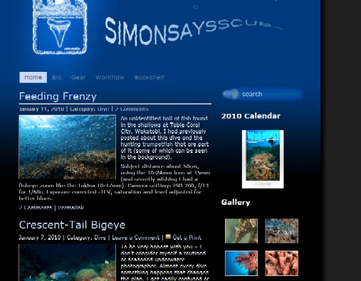 simon mittag's underwater photography blog