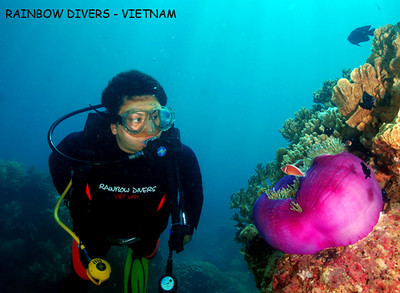 vietnam underwater photo