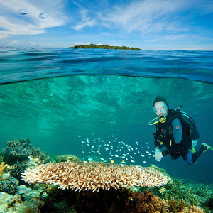 underwater photo from vietnam