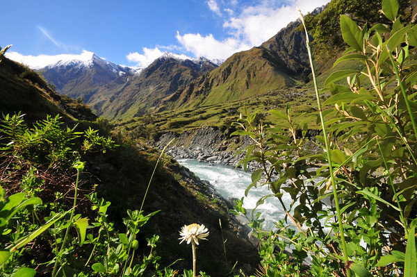 sigma wide angle lens