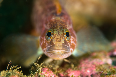 blurred background with bokeh