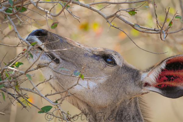 circular blur with bokeh
