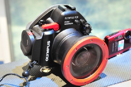 Olympus E-PL1 Underwater Housing - Underwater Photography Guide
