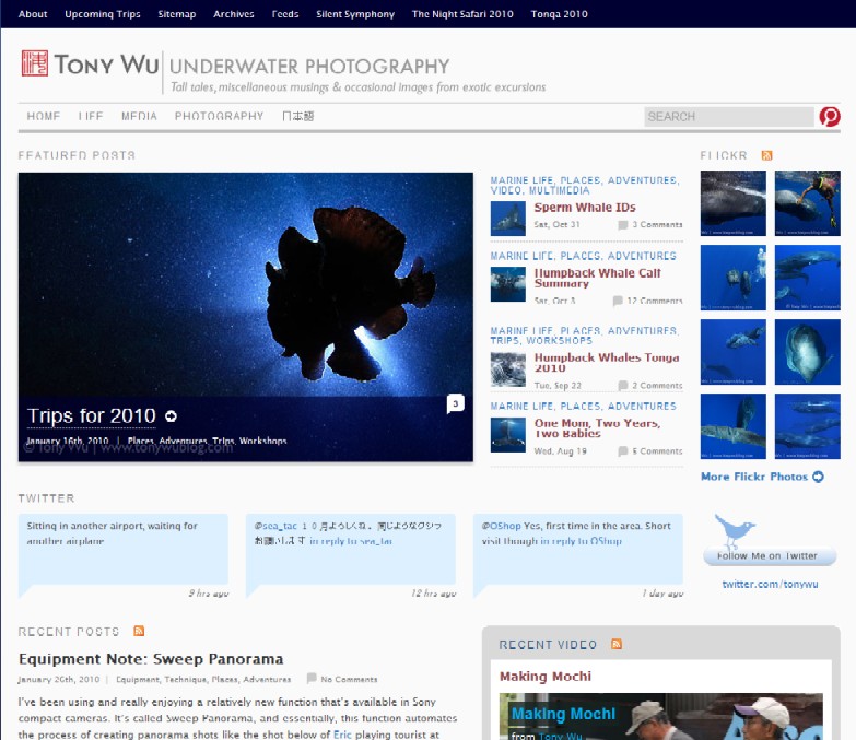 tony wu's underwater photography blog