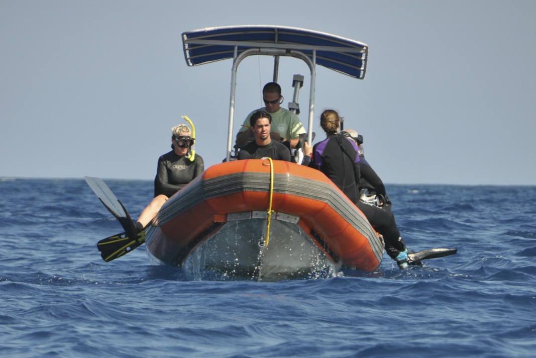 diving in the silver bank, dominican republic