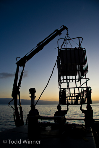 shark cage at guadalupe island