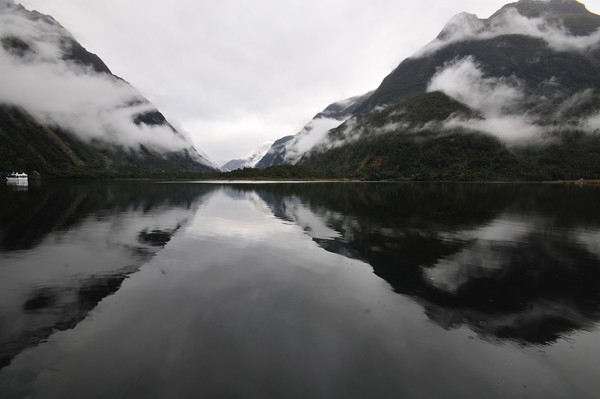diving milford sound
