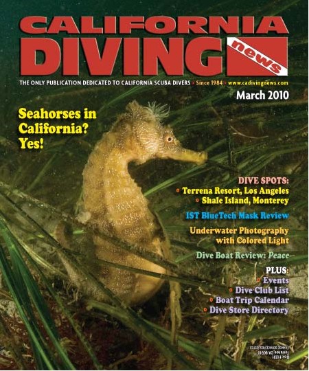 pacific seahorse news