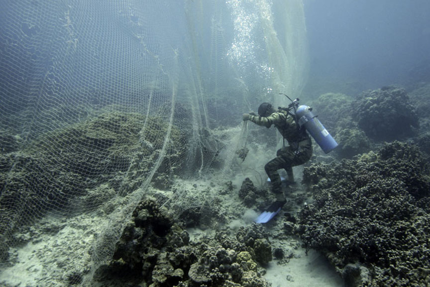 divers set the nets to capture fish in the protected reef