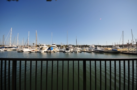 Barrel distortion achieved with the Sigma 8-16mm wide angle lens