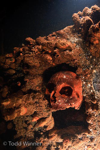 Strobe Underwater Photography