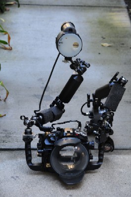 one strobe underwater