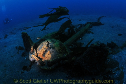 underwater snoot photography wide-angle