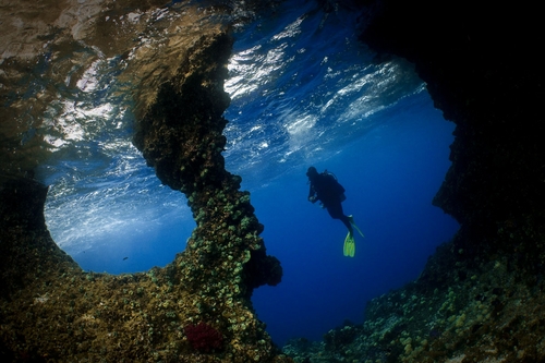 underwater photography on the Arenui by rod klein