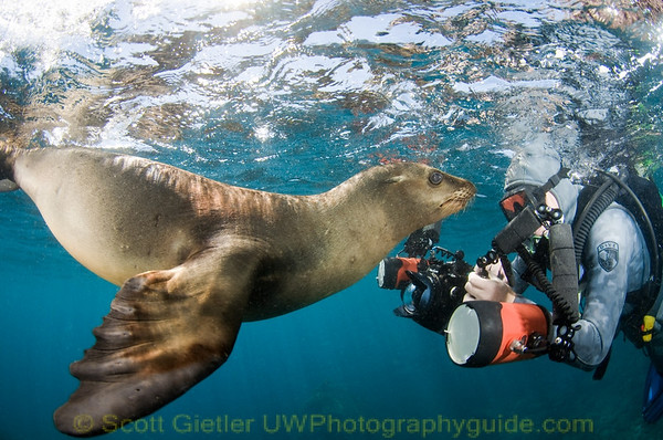 la paz photo workshop
