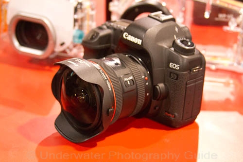 dema show 2010 coverage