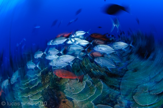 slow shutter speed underwater photo
