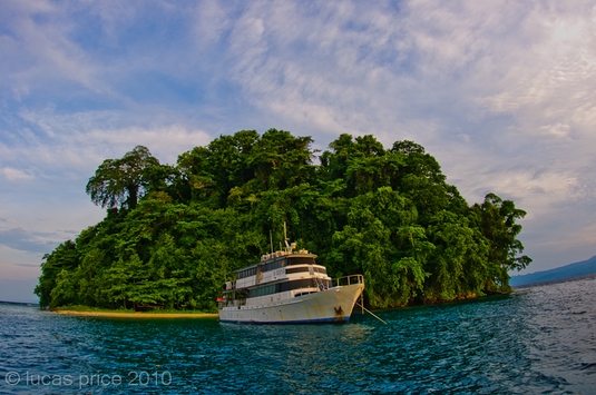 Febrina liveaboard in PNG