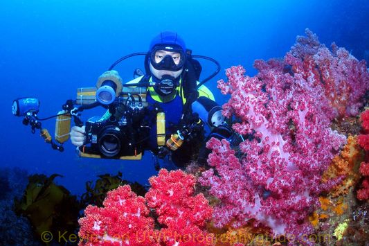 Author Kevin Lee Jeju Underwater