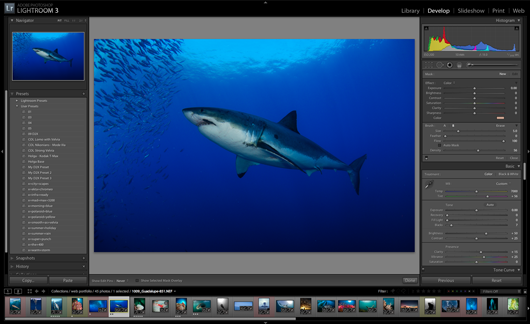 Adobe Lightroom develop