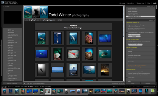 Adobe Lightroom Web