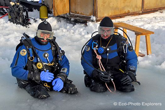 authors prepare to take the plunge