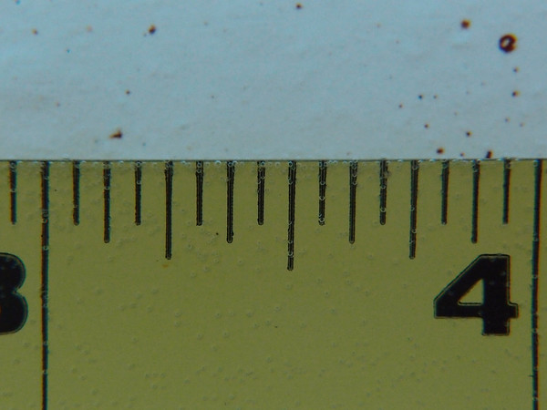 olympus xz-1 wet lens tests with the PT-050 housing