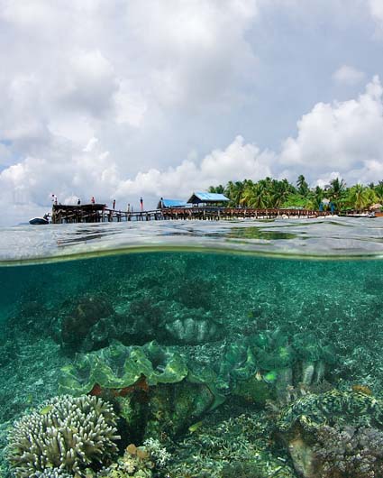 Over/Under photo of Jetty at Air Borei