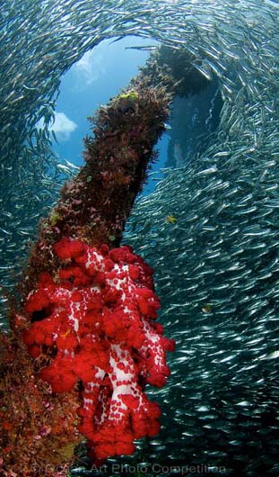 Jetty at Air Borei, Raja Ampat