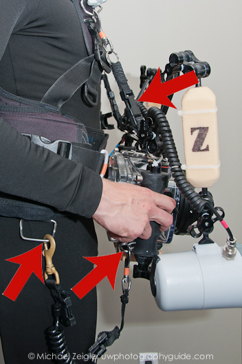 Two connections to BC; D-ring & housing Shore Diving