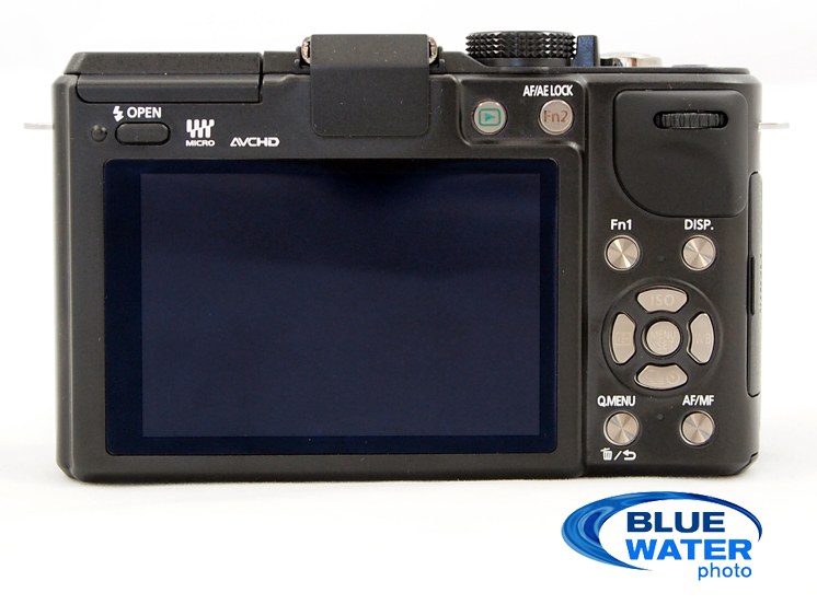 First Impressions: Panasonic GX1 Mirrorless Camera - Underwater