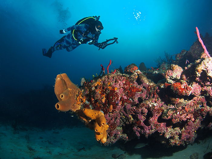 Diver in Florida Waters