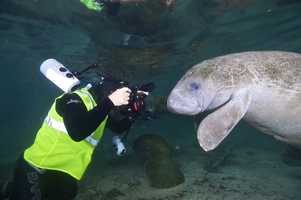 Up Close and Personal