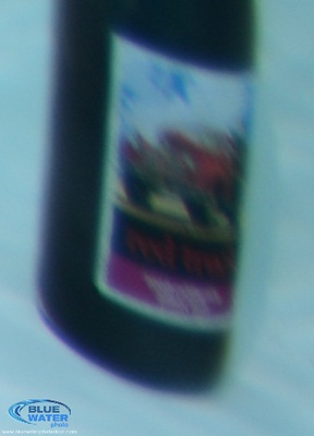 Tokina 10-17mm fisheye corner lens sharpness underwater photo