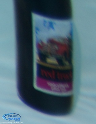 Tokina 10-17mm fisheye corner lens sharpness underwater photo