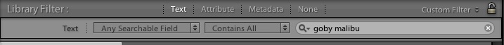 lightroom search function